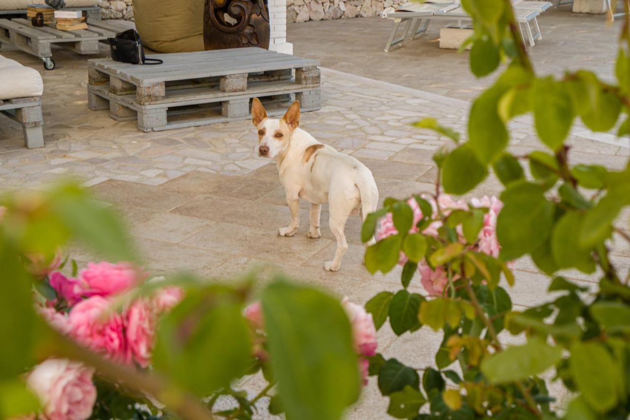 Borgo Canneto Rodi Garganico Exterior photo